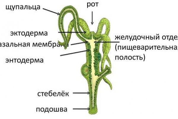 Кракен ссылка прокатис