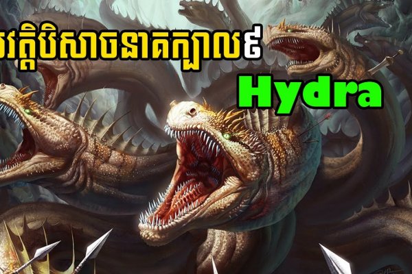 Kraken как найти ссылку