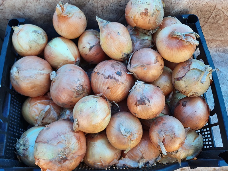 Как восстановить аккаунт на кракене даркнет