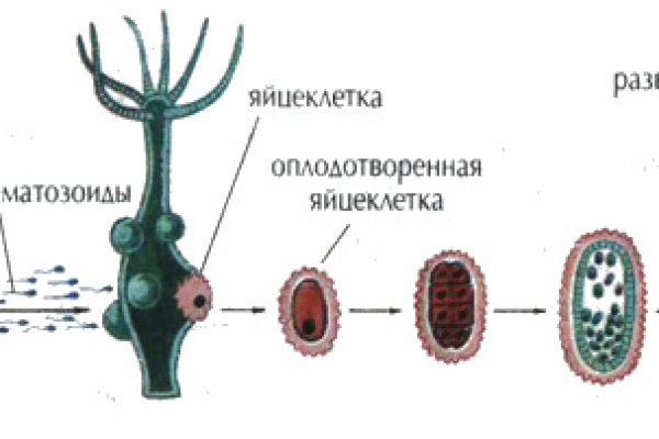Как попасть на сайт кракен